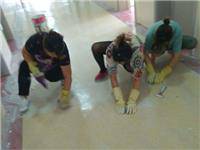 ��˾���ı���